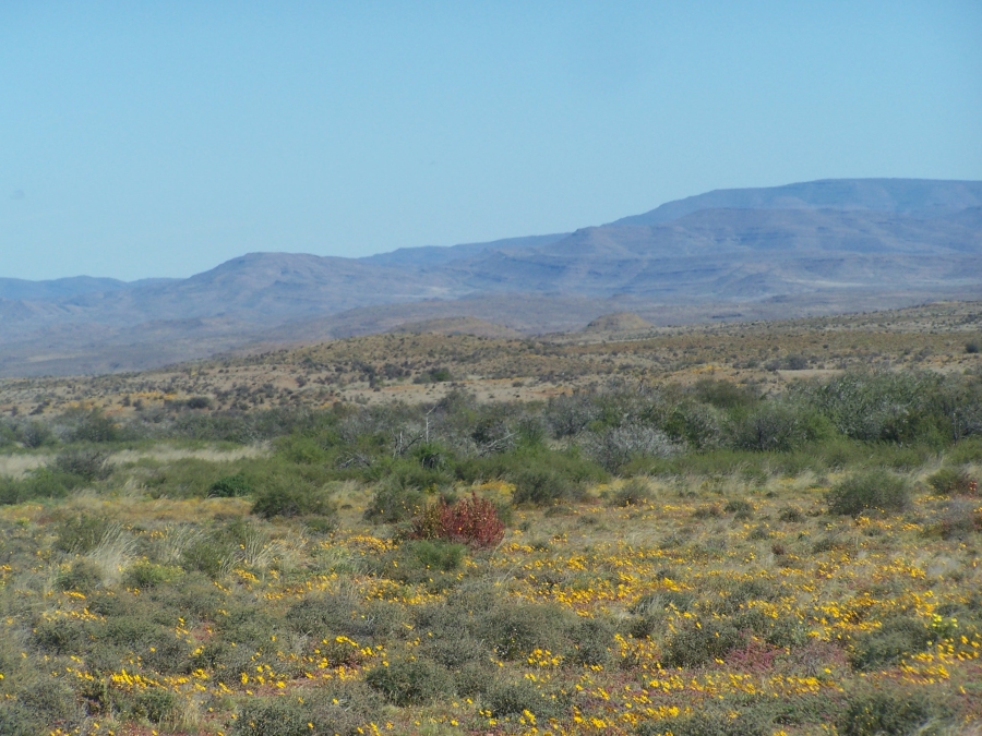 Commercial Property for Sale in Prince Albert Rural Western Cape